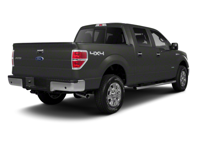 2010 Ford F-150 Platinum