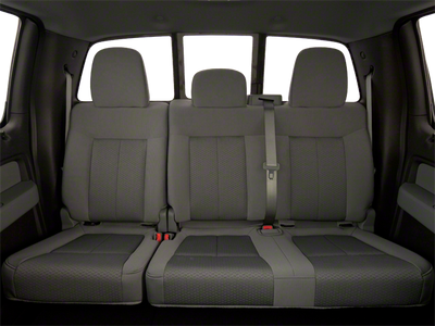 2010 Ford F-150 Platinum