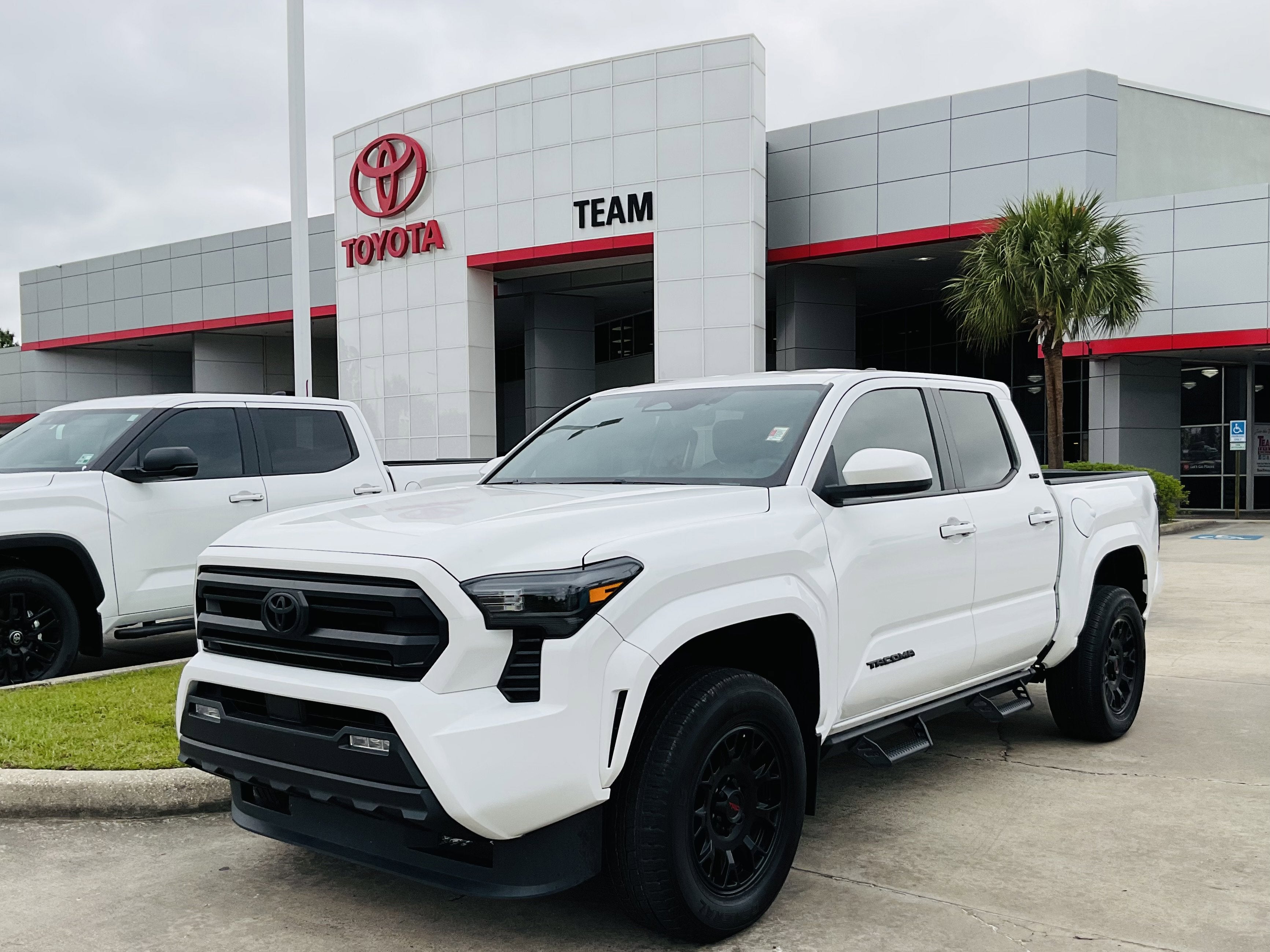 2024 Toyota TACOMA SR5 SR5