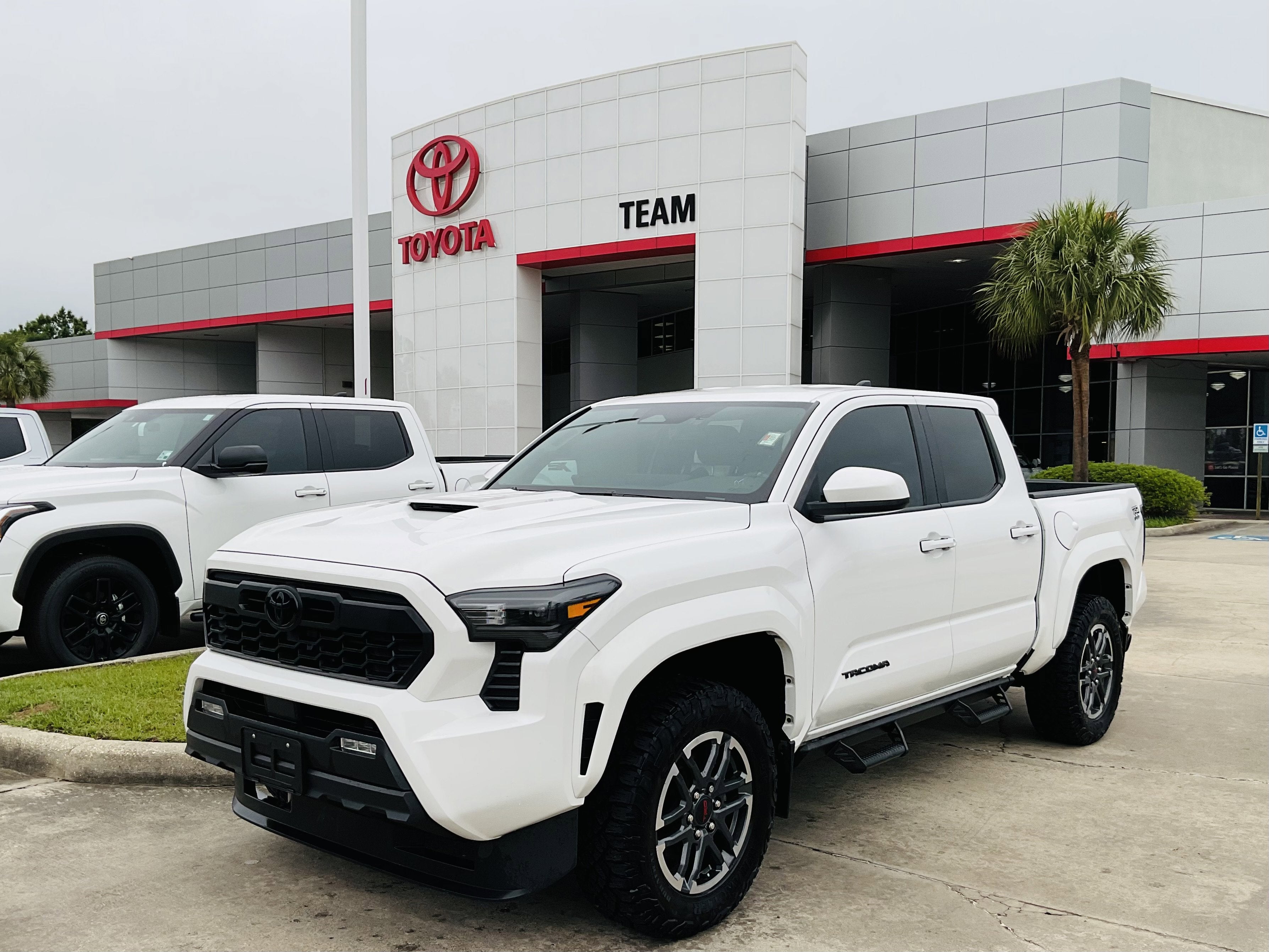 2024 Toyota TACOMA TRD SPORT TRD Sport