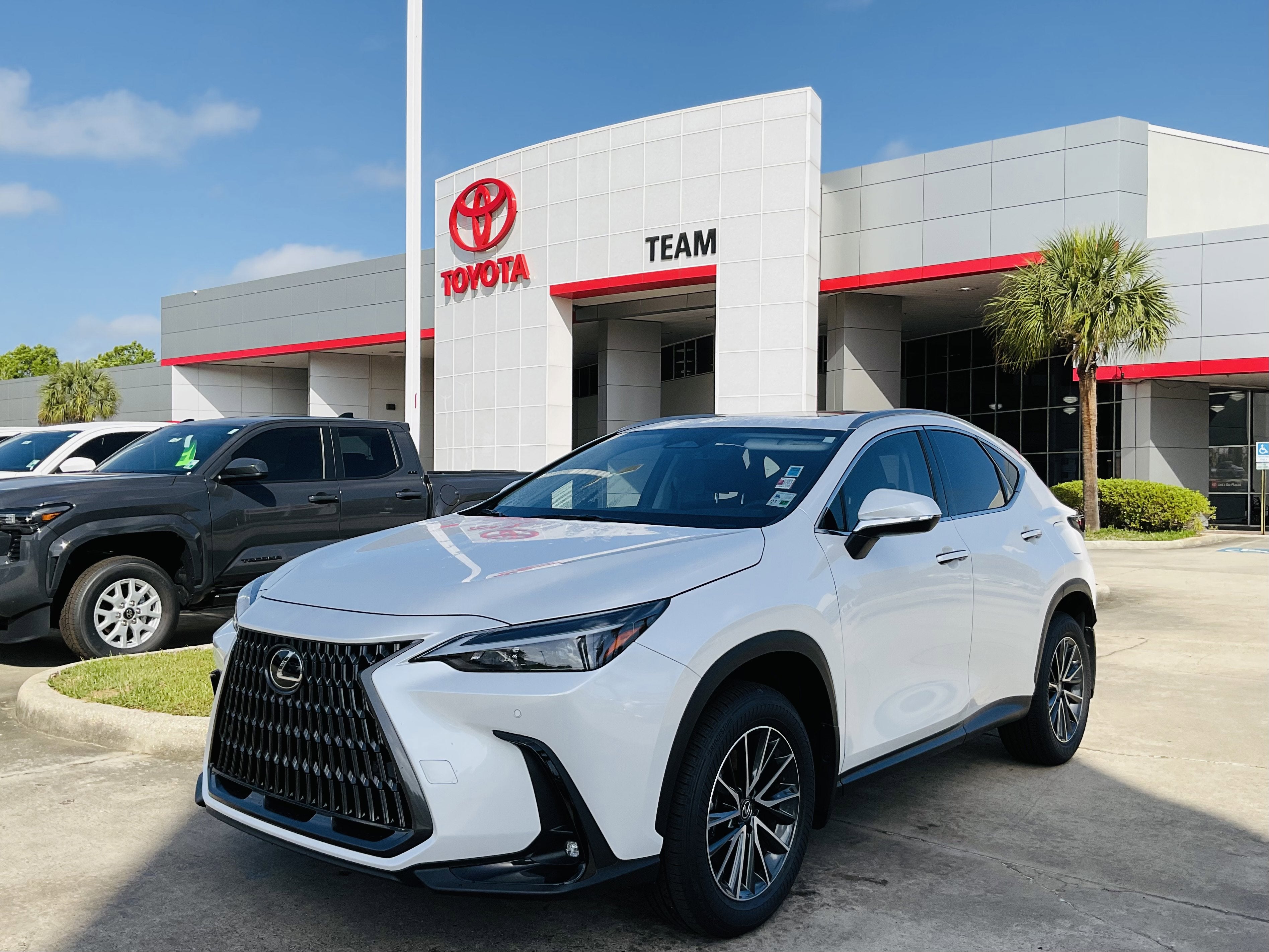 2025 Lexus NX 350h NX 350h Premium